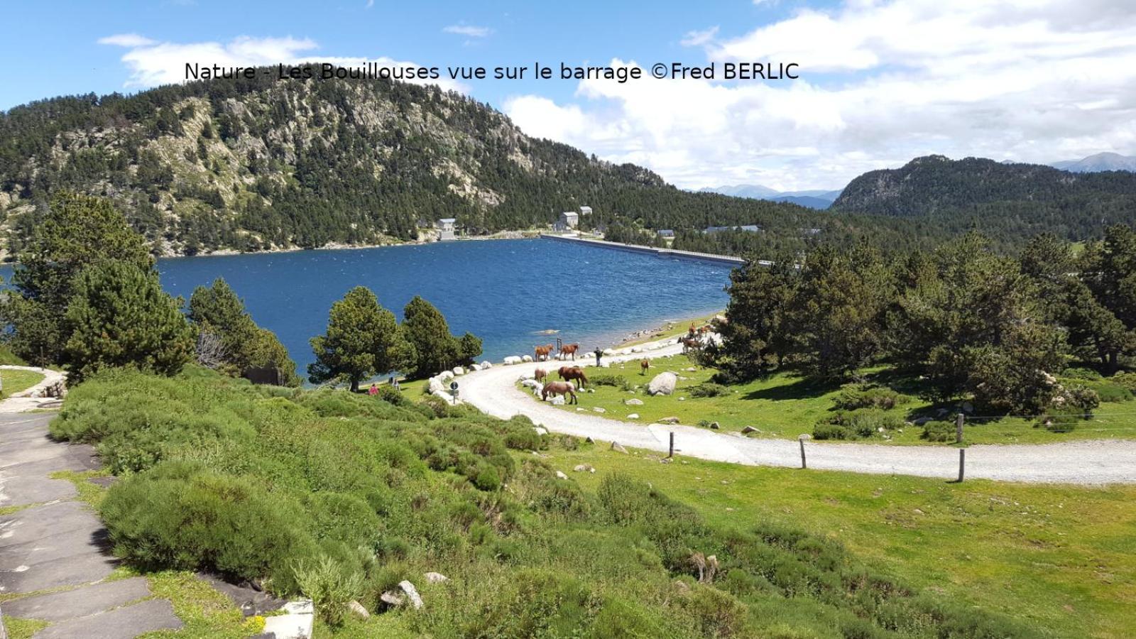 Camping Las Asperas*** Palau-de-Cerdagne Екстериор снимка